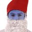 Gnome Hat With Beard-0