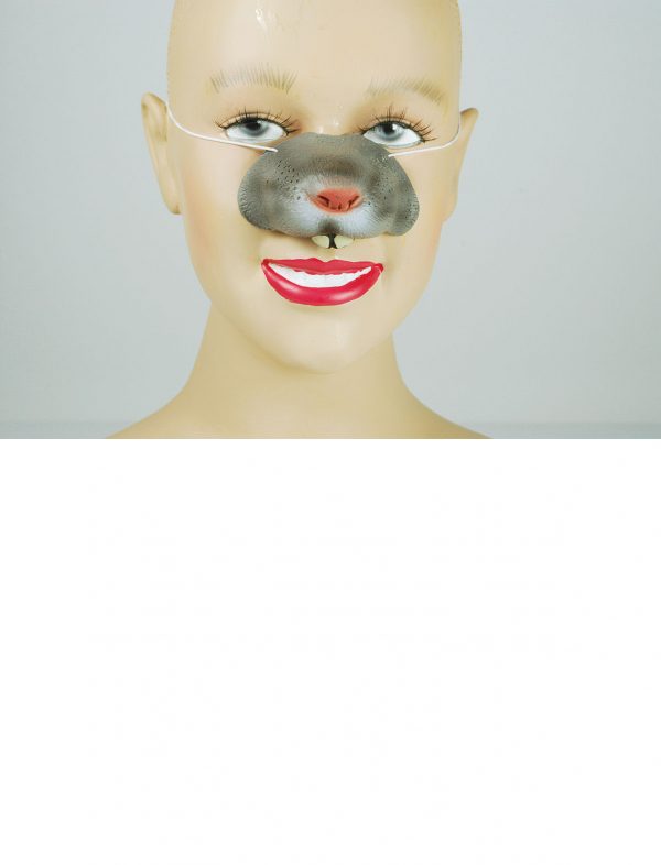 Mouse Nose-571