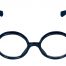 Wizards Boy Glasses-0