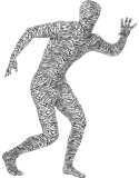 Second Skin Costume, Zebra Pattern fancydress-241010